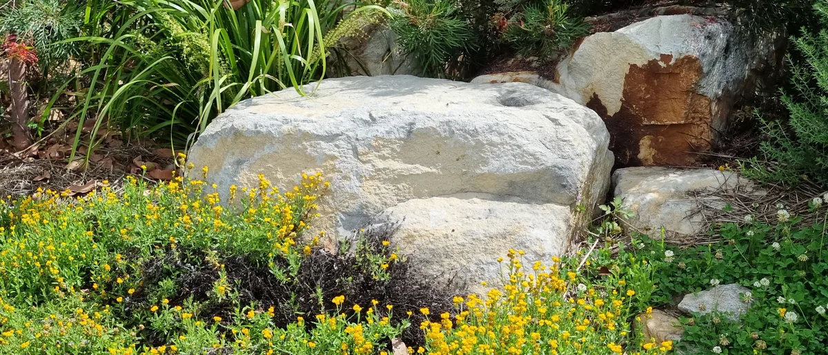 Panorama of a landscaped backyard, used as a background