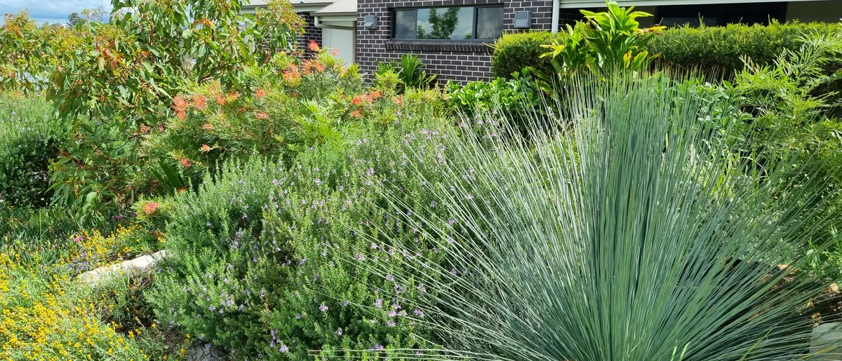 Panorama of a finished Simply Intreeging garden, used as a background