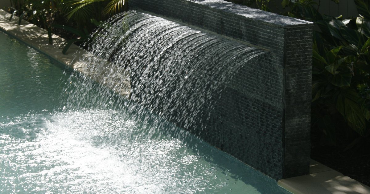 Feature planting ideas, Brisbane | Simply Intreeging