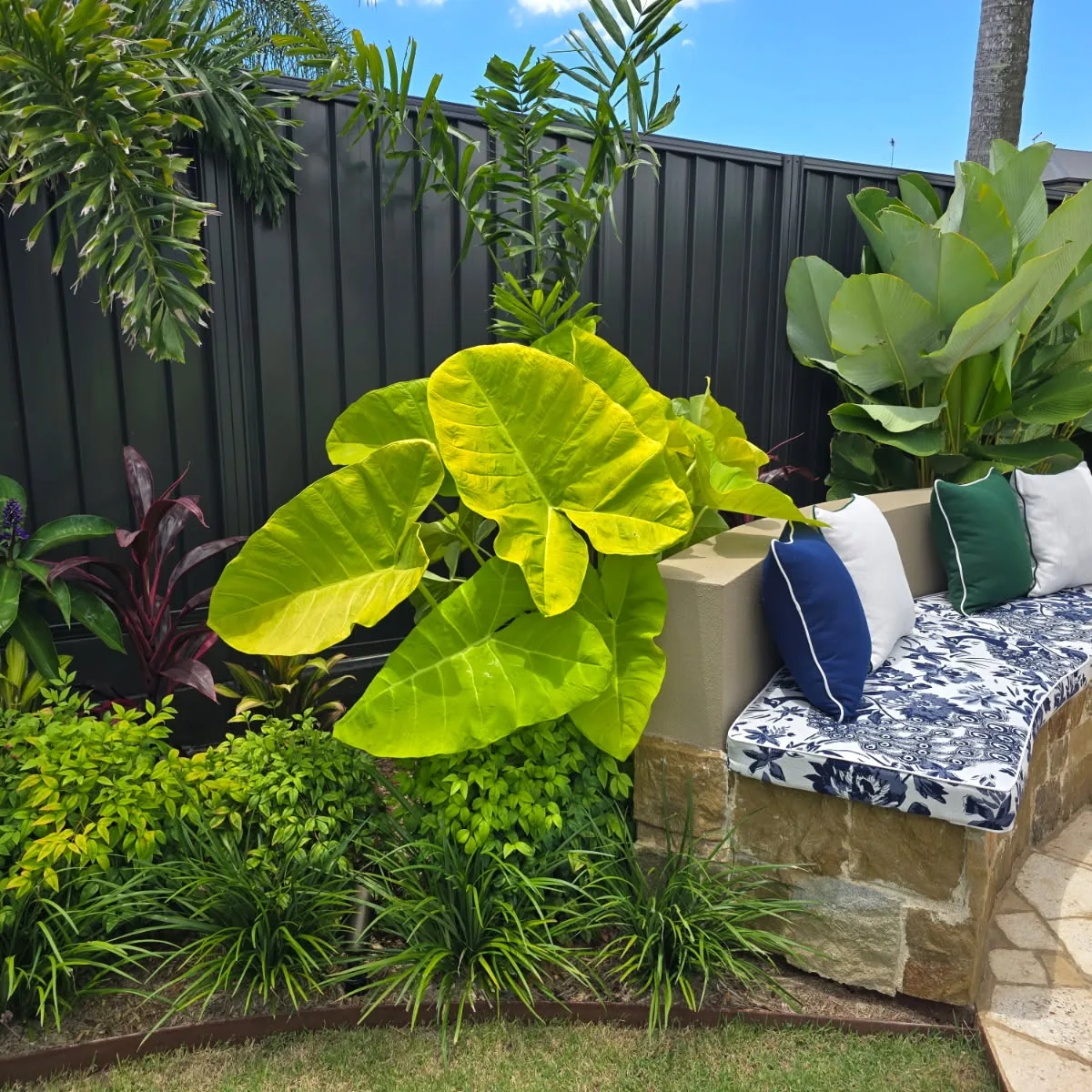Curved sandstone bench with cushions set into dense tropical planting