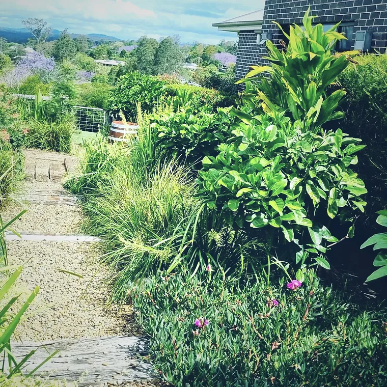 Layered garden bed of grasses and shrubs beside a stepped path