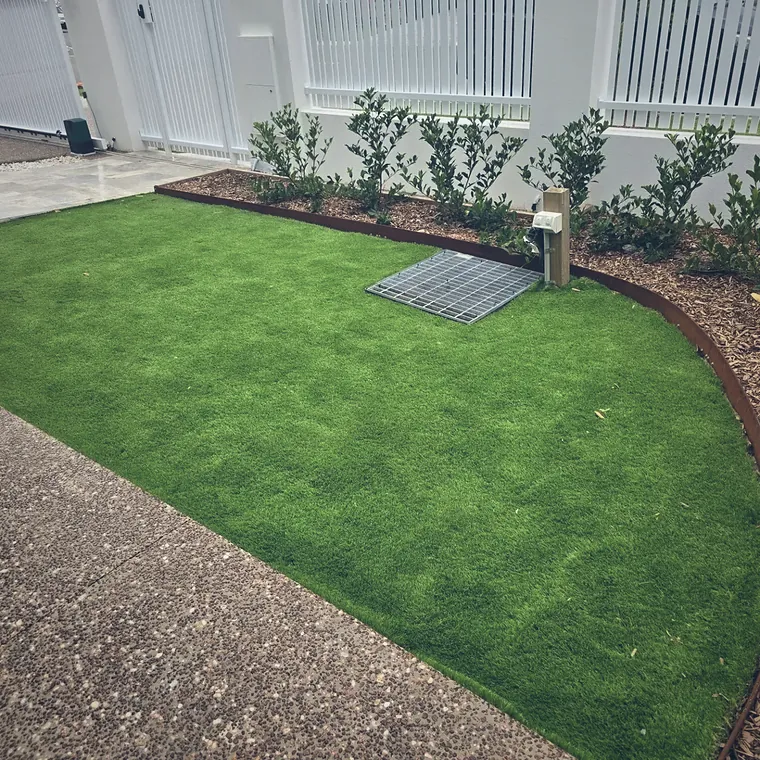 New turf laid to a crisp edge against a freshly planted garden bed