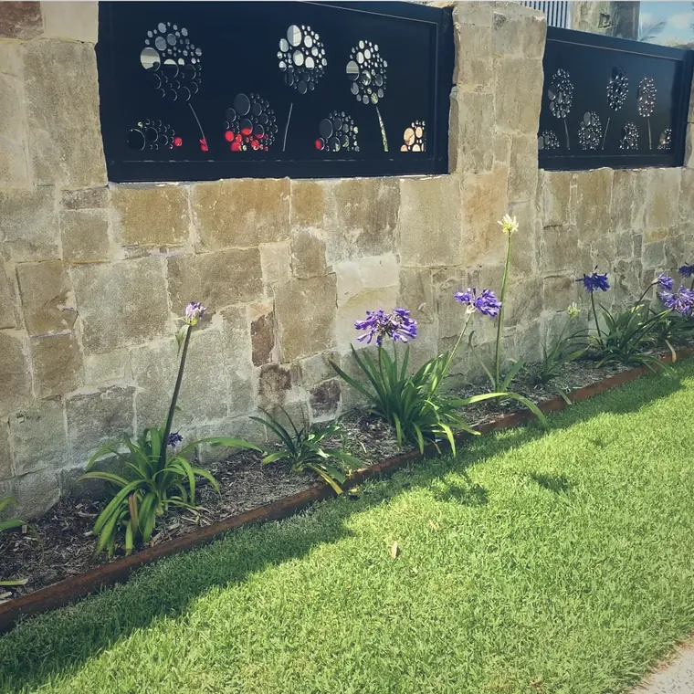 Sandstone block wall with recessed lighting and agapanthus planted at its base