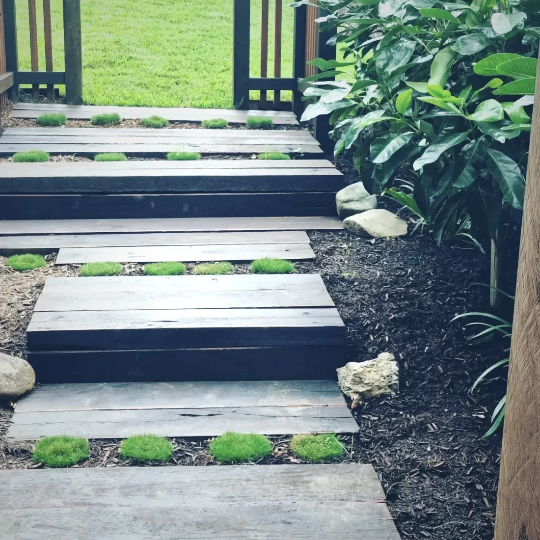 Pale stepping stones set into black mulch with clipped planting